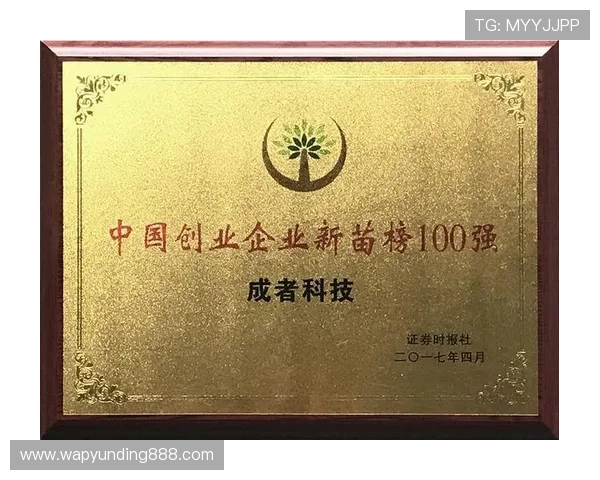 云顶公司取名技巧详解帮助创业者快速打造独特品牌形象